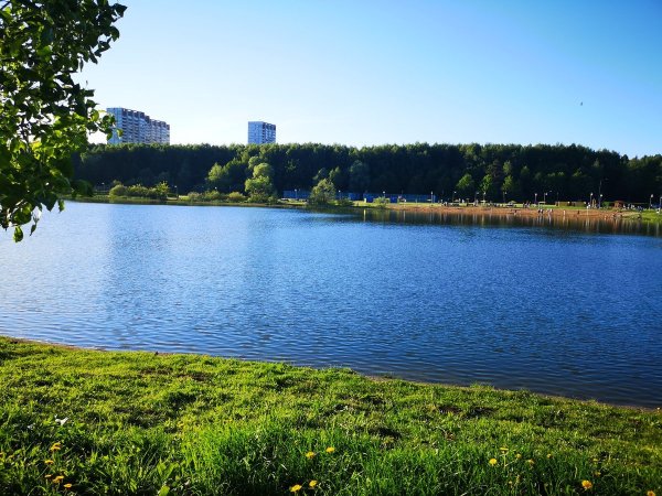 Школьное озеро Зеленоград