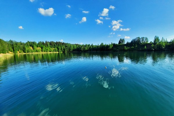 Озеро в Дровнино Можайский район