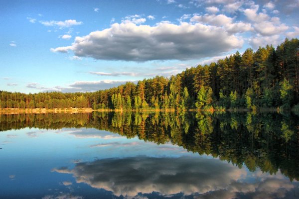 Черное озеро Ногинск