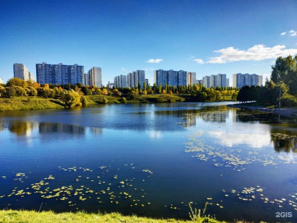 Очаковский пруд