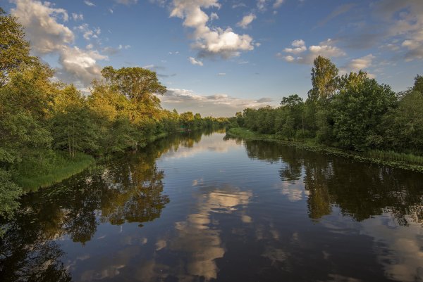 Талдомский район природа