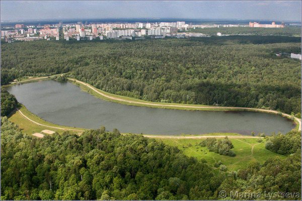 Измайловский лесопарк Лебедянский пруд