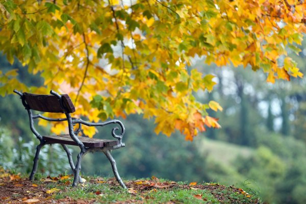 Скамья в осеннем парке