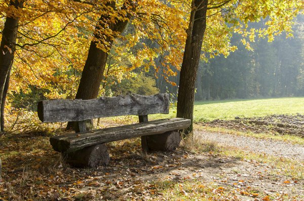 Осень парк лавочка