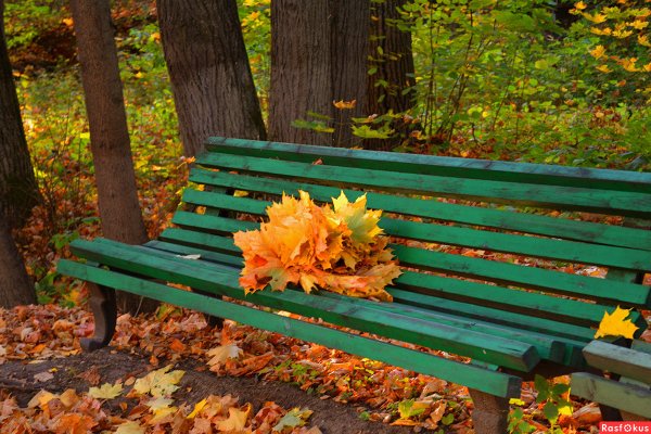 Осенняя скамейка