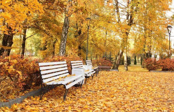 Осень в парке