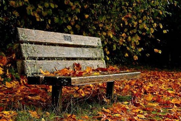 Старая скамейка в парке