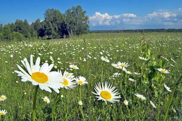 Июнь картинки