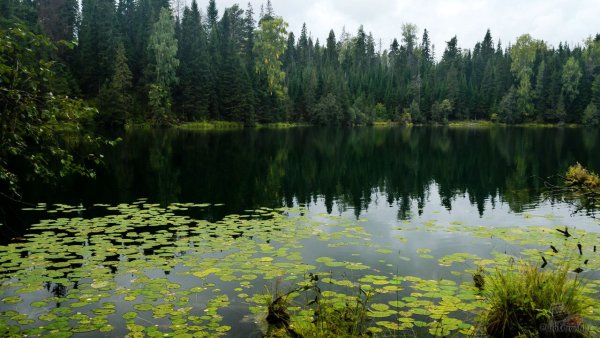 Озеро бездонное Нижний Тагил глубина
