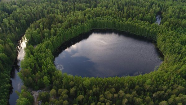 Заповедник малая Сосьва в ХМАО-Югре