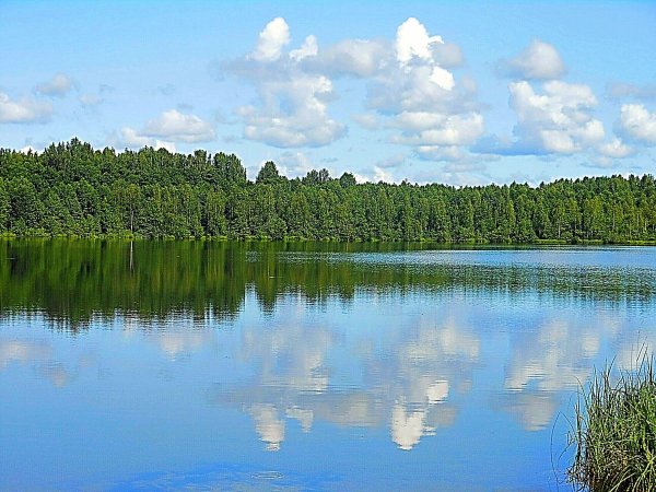 Озеро Светлояр Нижегородская область