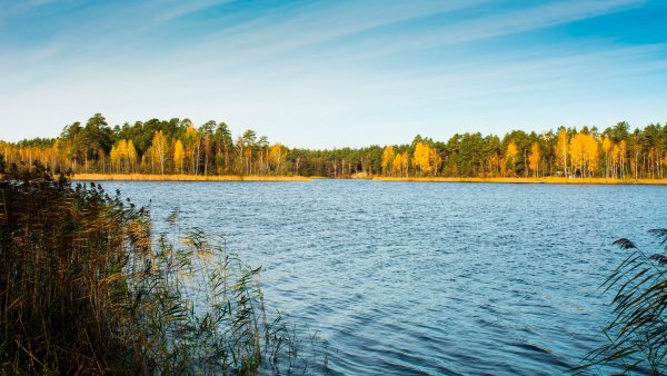 Озеро Рой Нижегородская область