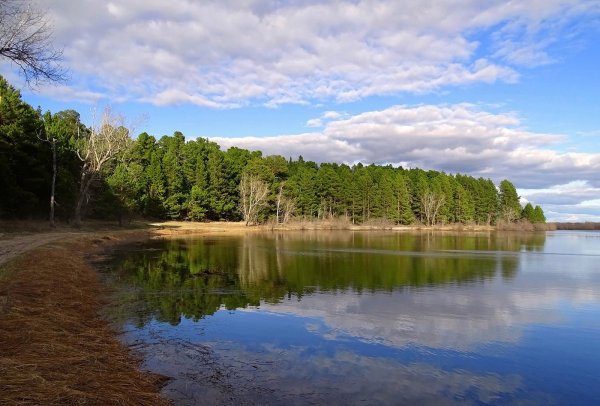 Лесное озеро Томск