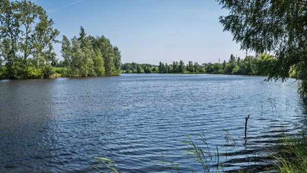 Сормовское озеро Нижний Новгород