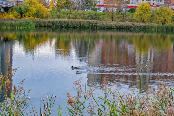 Мещерское озеро Солнцево