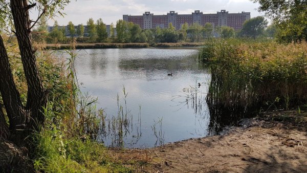 Митинское озеро Мещеры