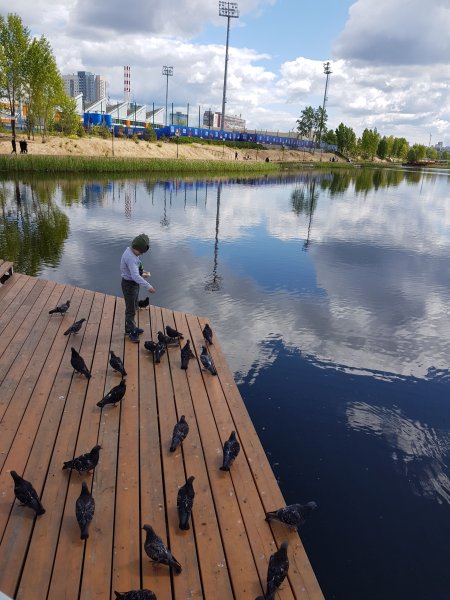Мещерское озеро Нижний Новгород