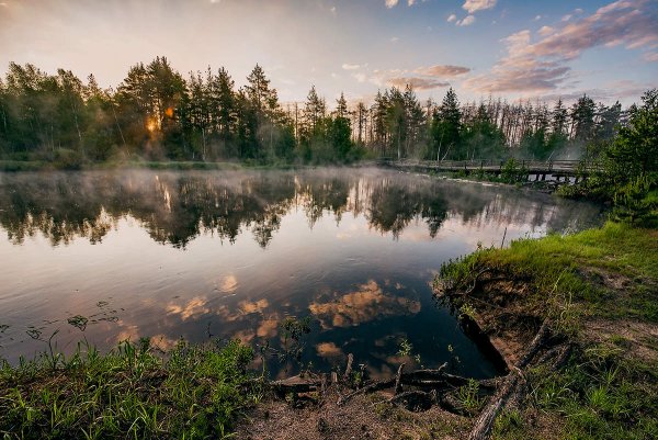 Парк Мещера во Владимирской области