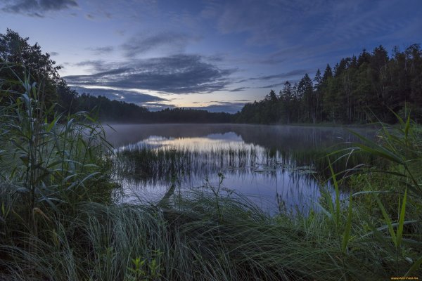 Озеро в лесу
