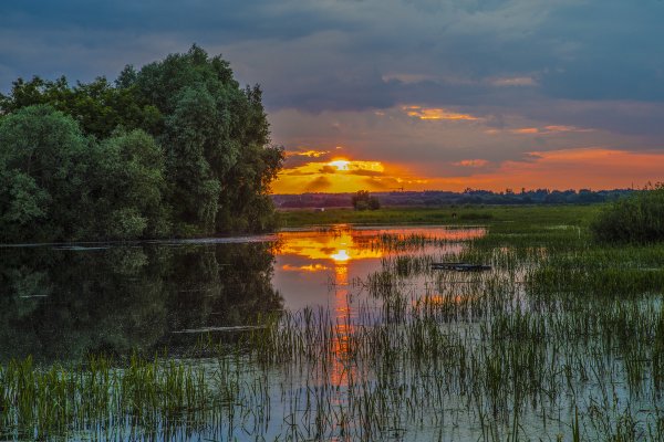 Природа вечер