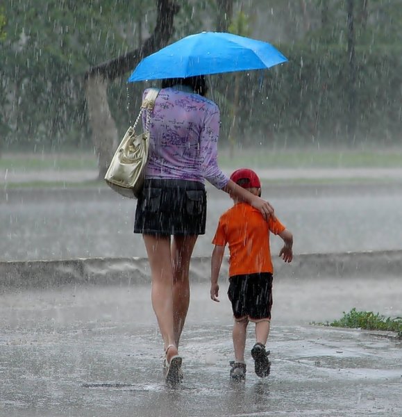 Холодное дождливое лето