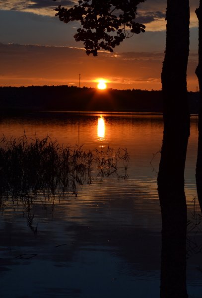 Летний вечер