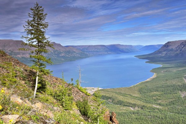 Таймыр озеро лама