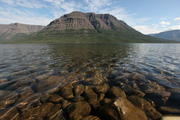 Таймыр озеро лама