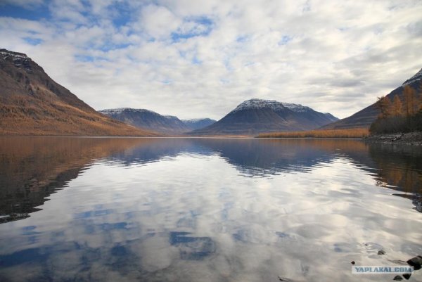 Река лама Таймыр