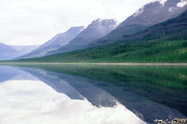 Таймыр озеро лама