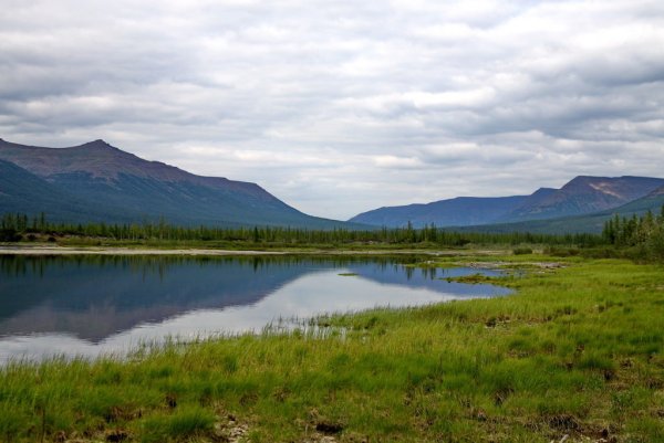Озеро лама Красноярский край