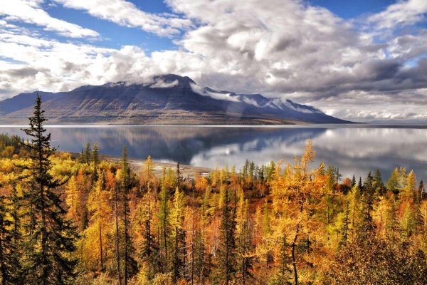 Таймыр озеро лама