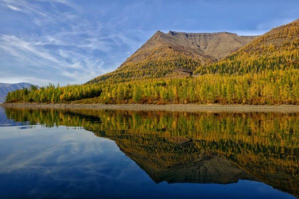 Таймыр озеро лама