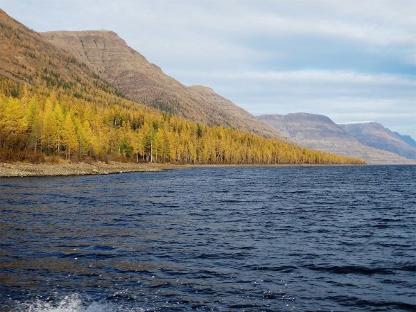 Таймыр плато Путорана