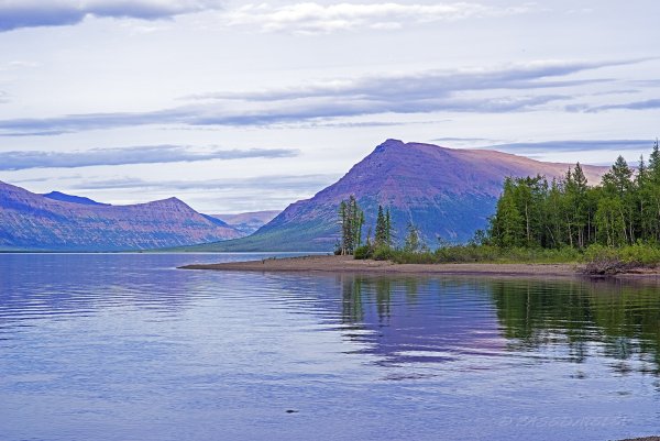 Путорана озеро лама