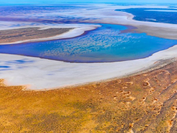 Озеро Эйр-Норт в Австралии
