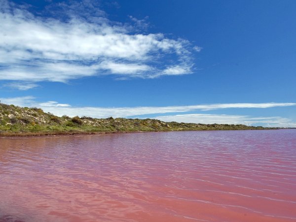 Озеро Хиллиер, Западная Австралия