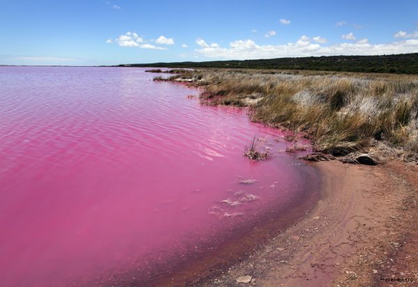 Розовое озеро Хиллер Австралия