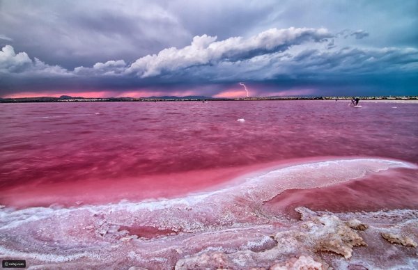 Розовое озеро Ретба