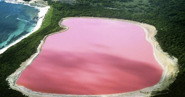 Розовое озеро в Австралии