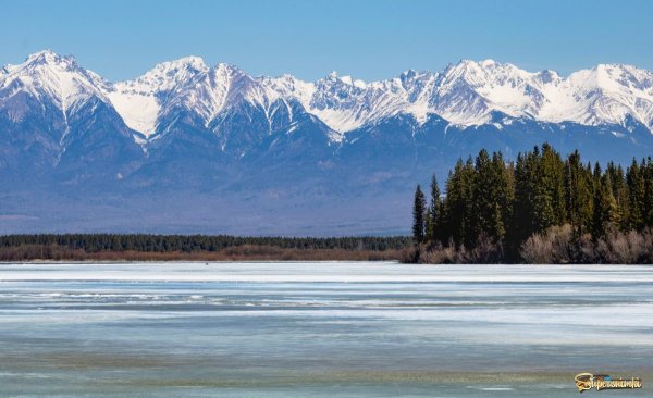 Аршан горы Саяны