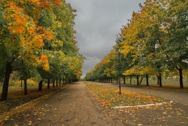Ранняя осень сентябрь в городе