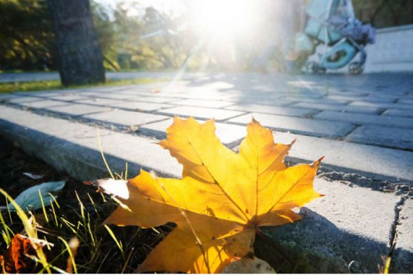 Жаркая осень