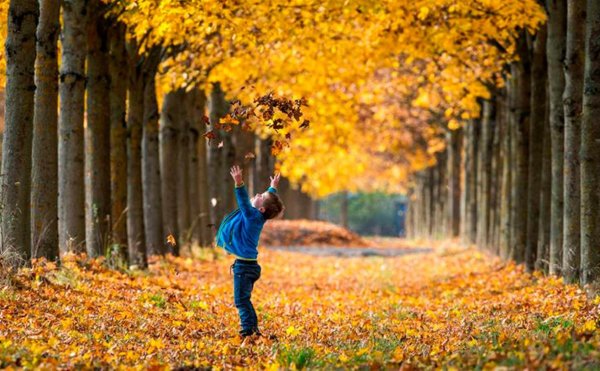 Потепление осень