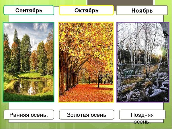 Летние и осенние месяцы