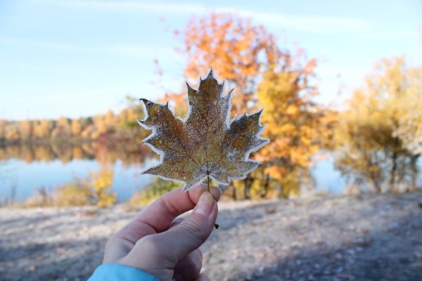 Осеннее похолодание