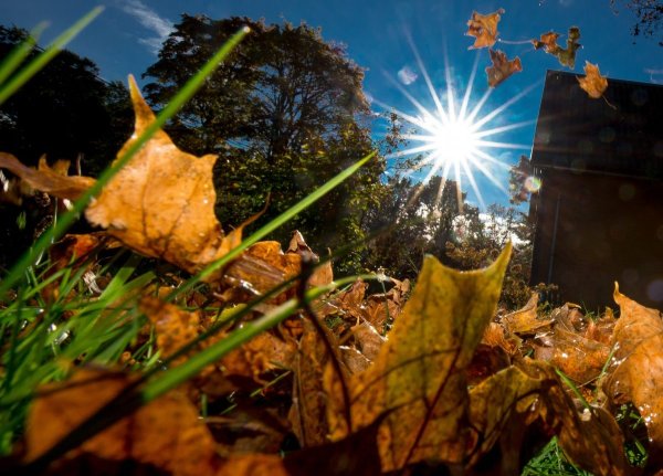 Потепление осенью