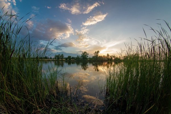 Гладь озера