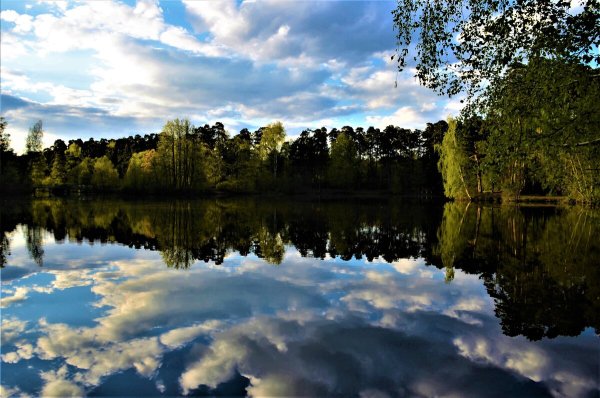 Отражение неба в пруду