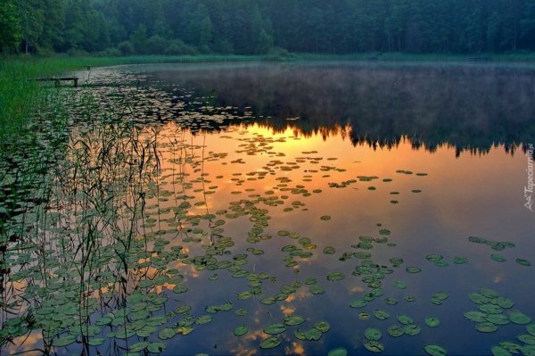 Озеро гладь воды